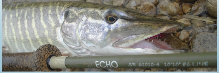 Pike.JPG