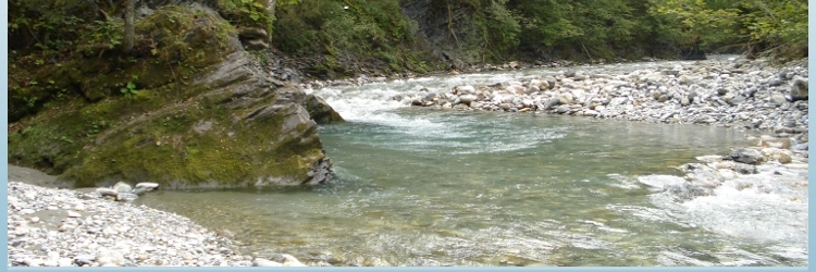 homewater.jpg