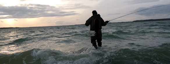 ostsee_news