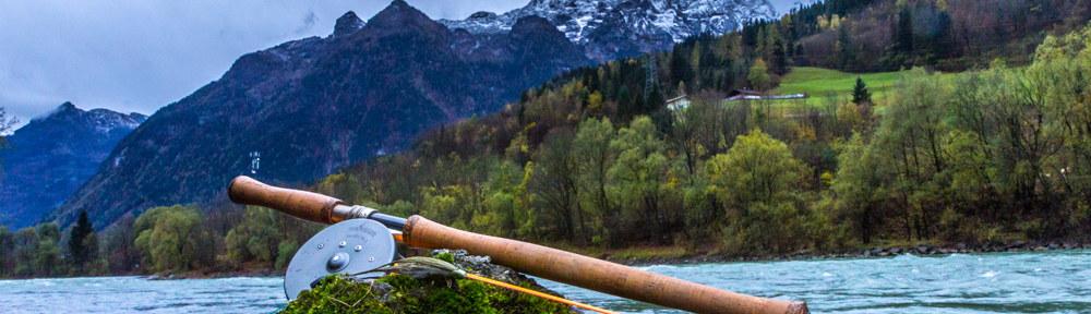 salzach huchen